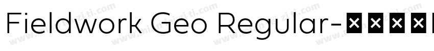Fieldwork Geo Regular字体转换
